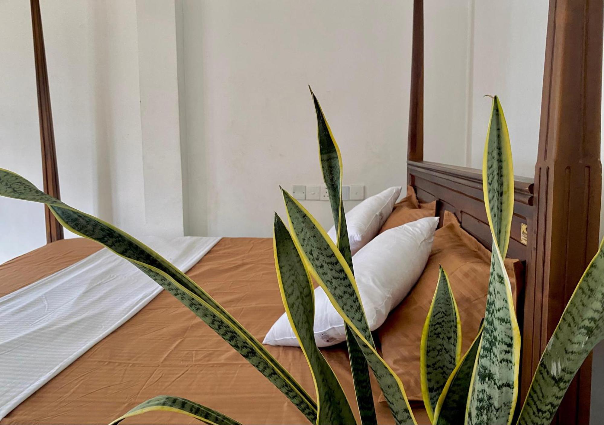 Sasmika Villa Surf And Yoga Hostel Weligama Luaran gambar